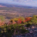 Enrique GarciÌa Bravo 2